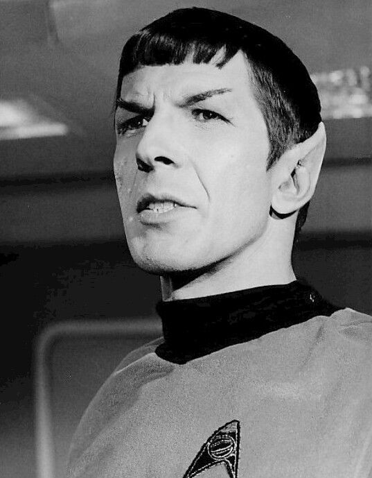 One asteroid is named after a cat